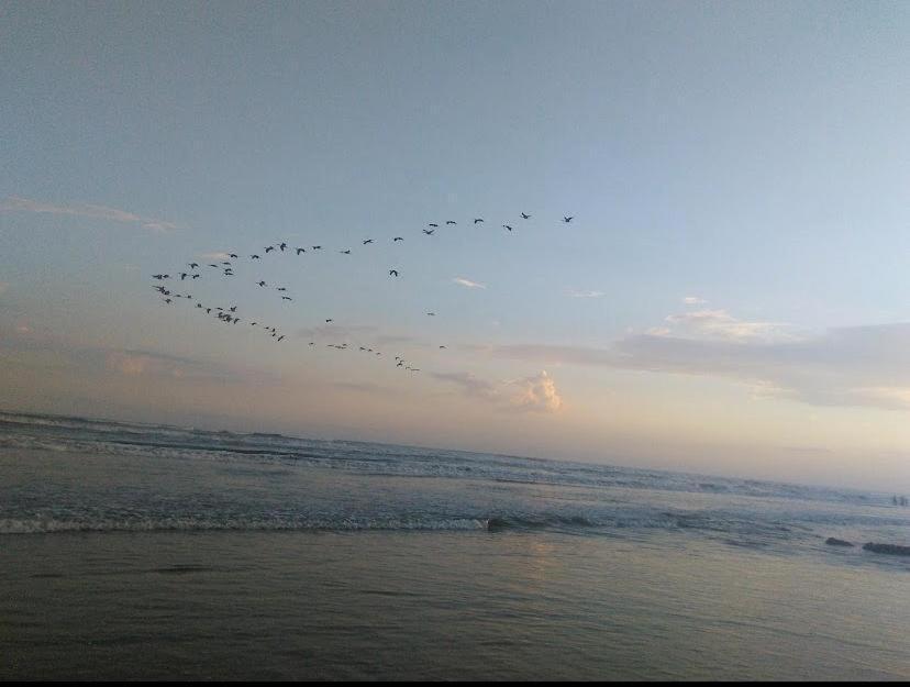 Beira Mar Centro Da Wifi Gratis Apartment
